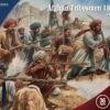 Victoria's Little Wars: Afghan Tribesmen 1800-1900