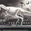 Dinosaur Model Kit: Limex Tyrannosaurus Skeleton